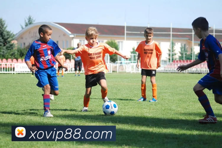 星欧娱乐官网发展历程